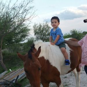 Meet your Posher, Lucy