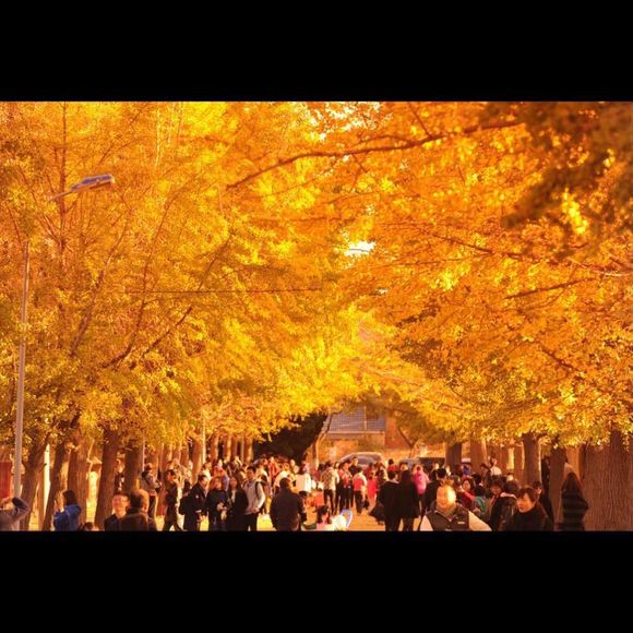 Meet your Posher, Yongxi - Picture 1 of 1