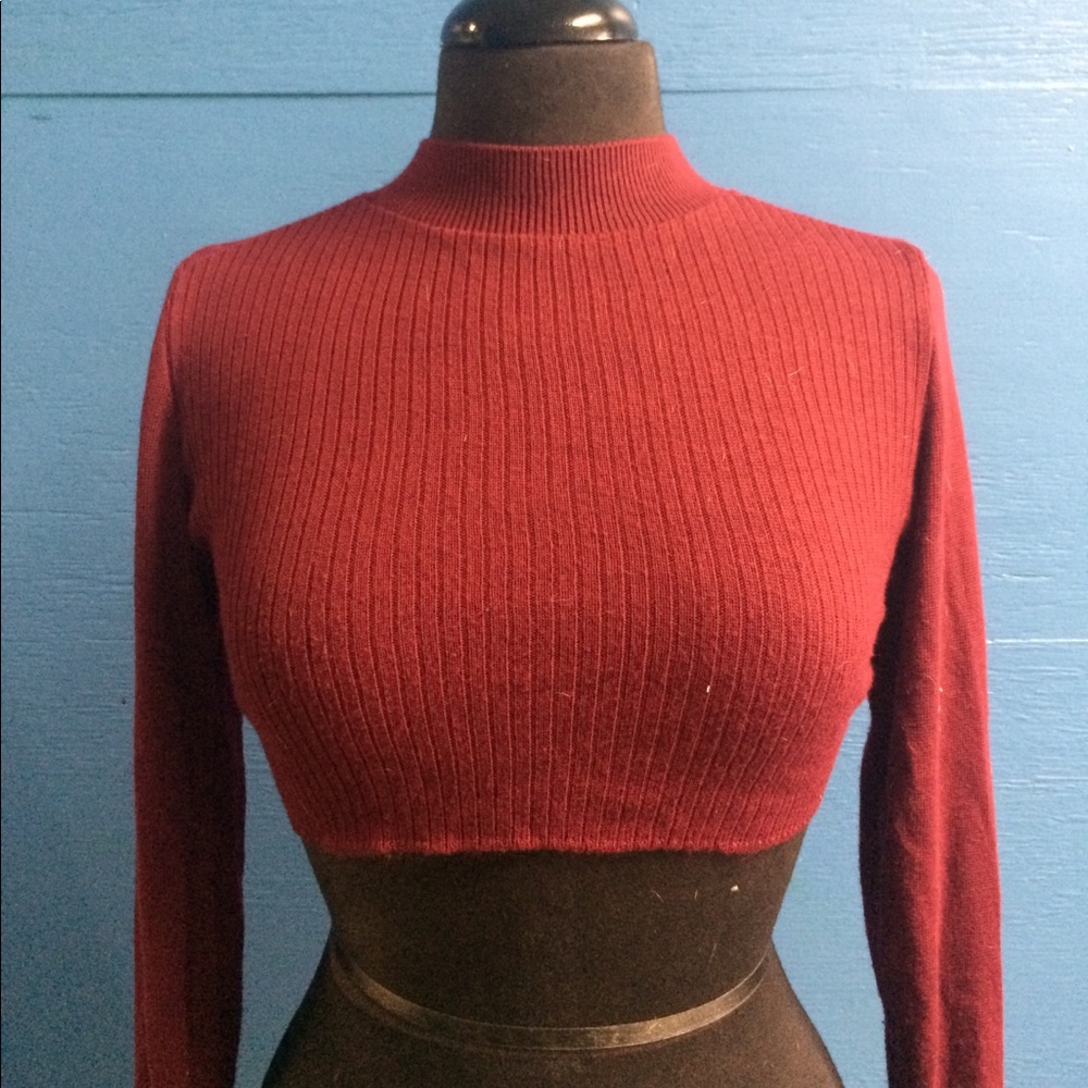 Fall essential long sleeve crop turtle neck