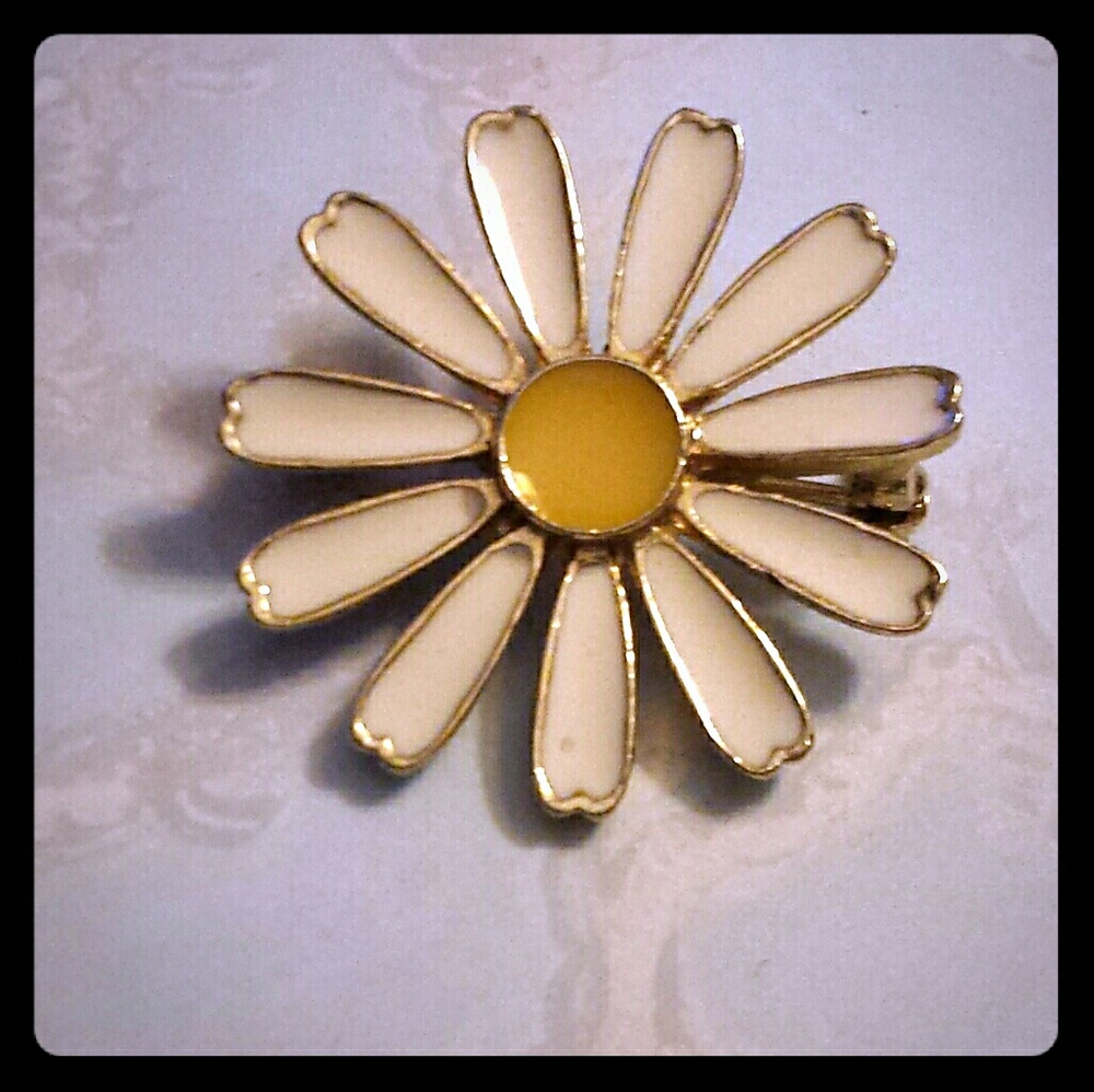 Vintage pin