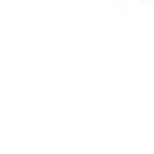 Meet your Posher, Zehra