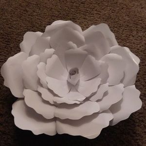 Meet your Posher, Ebony