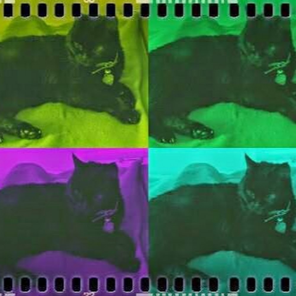 Meet your Posher, Stacie