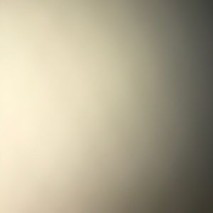 Meet your Posher, Rylee