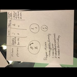 Meet your Posher, Trey