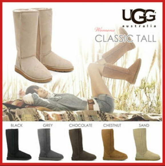 Ugg Shoes - Ugg Classic Tall Bomber - Sand