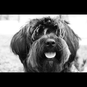 Meet your Posher, David