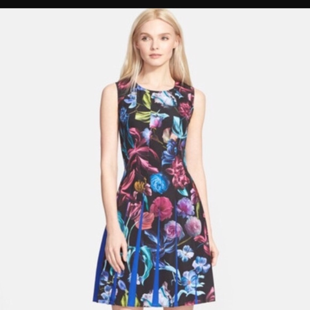 Ted Baker London "Edelfi" Floral Dress