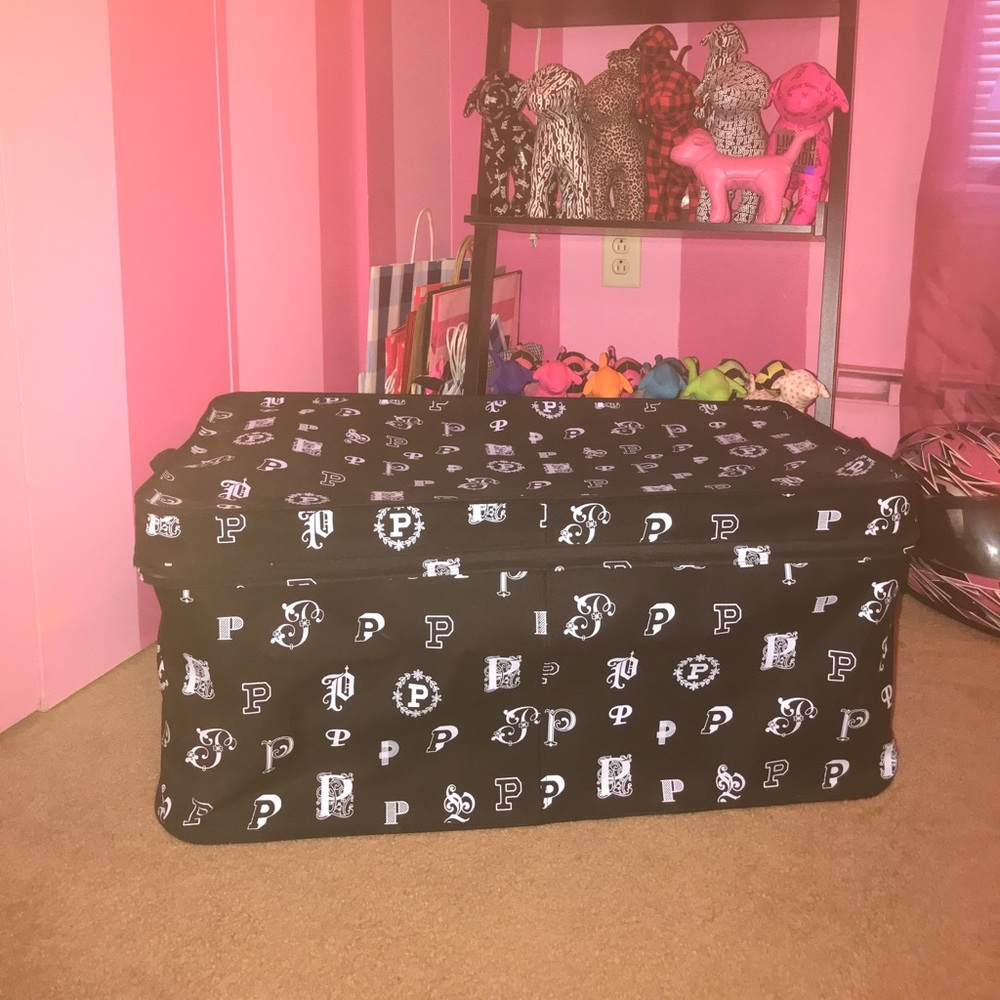 Victoria’s Secret trunk bin organizer