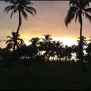 Meet your Posher, Andres