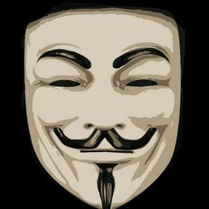 Meet your Posher, Bradley