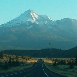 Meet your Posher, Alan