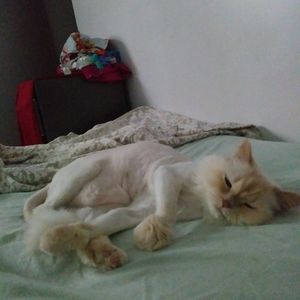 Meet your Posher, Rosalyn