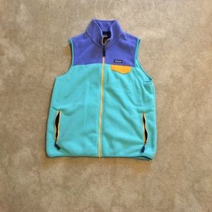 Patagonia Synchilla Vest