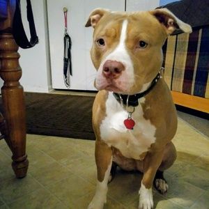 Meet your Posher, Robin