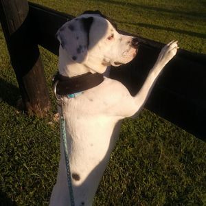 Meet your Posher, Melody