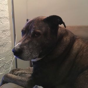 Meet your Posher, Christian