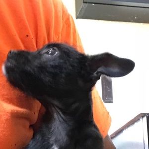 Meet your Posher, Jayton