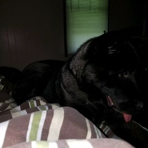 Meet your Posher, Sabrina