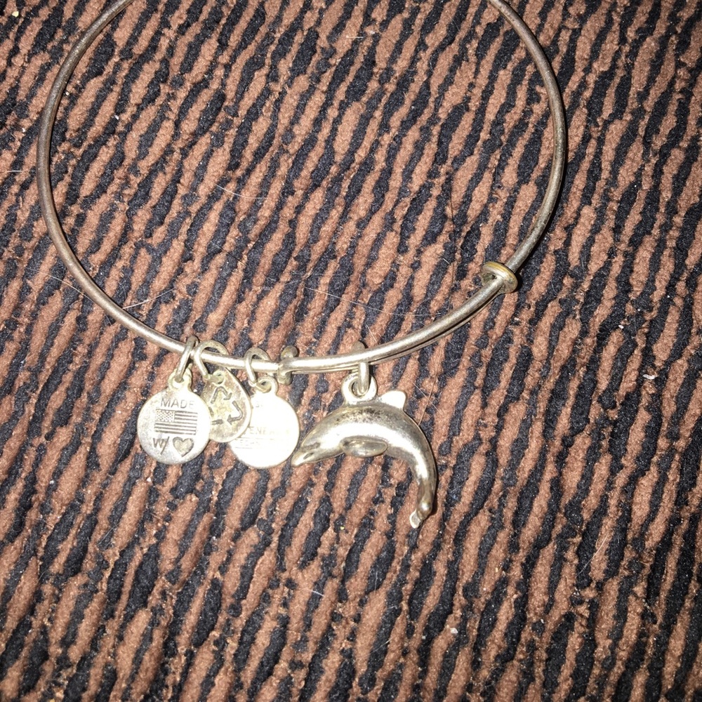 Alex and Ani Dolphin bracelet