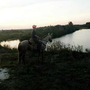 Meet your Posher, Sam