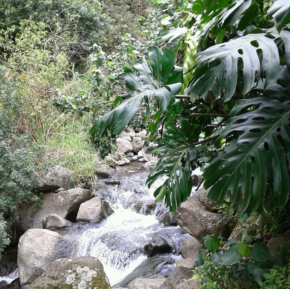 Meet your Posher, Marissa