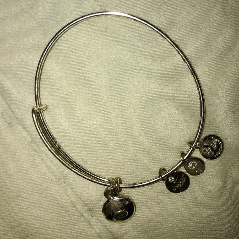 Alex & Ani Silver Pink October Birthstone Bracelet - Picture 2 of 4