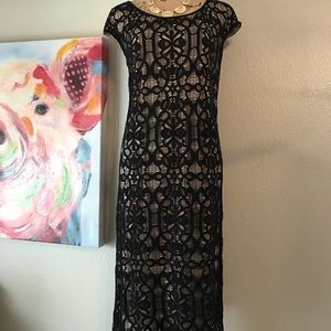 💥DRESS BARN COLLECTIONS SLEEVELESS LACE DRESS💥