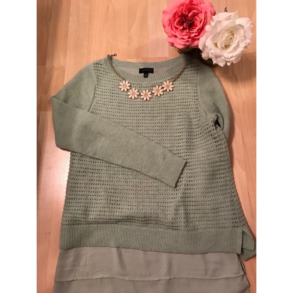 The Limited Pale Green Sweater