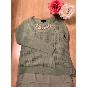 The Limited Pale Green Sweater