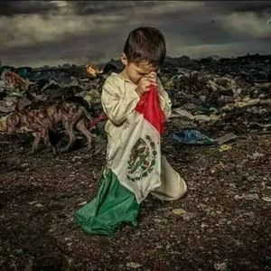 Meet your Posher, Rosy