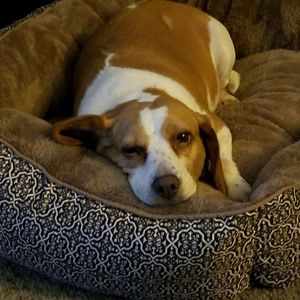 Meet your Posher, Renee