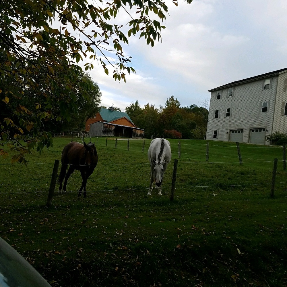 Meet your Posher, Bethany