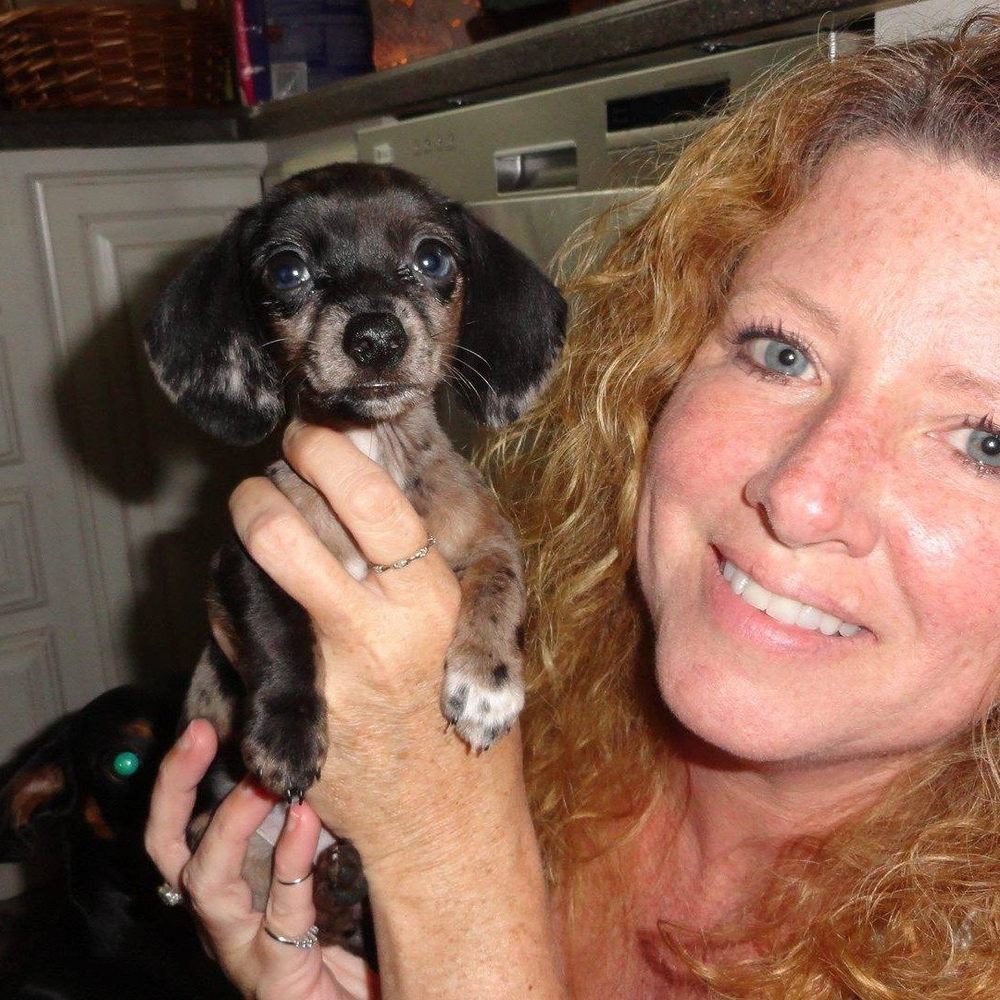 Meet your Posher, Bip