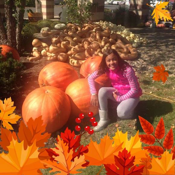 Meet your Posher, Dawn - Picture 1 of 1