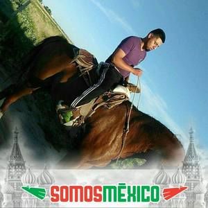 Meet your Posher, Junior