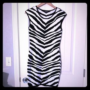 Animal print Express Sleeveless Dress