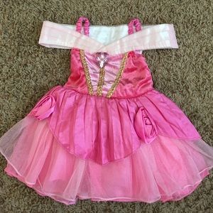 Sleeping Beauty Costume
