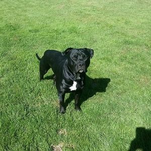 Meet your Posher, Jackie