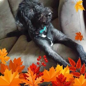 Meet your Posher, Sheri