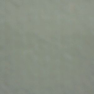 Meet your Posher, Jose