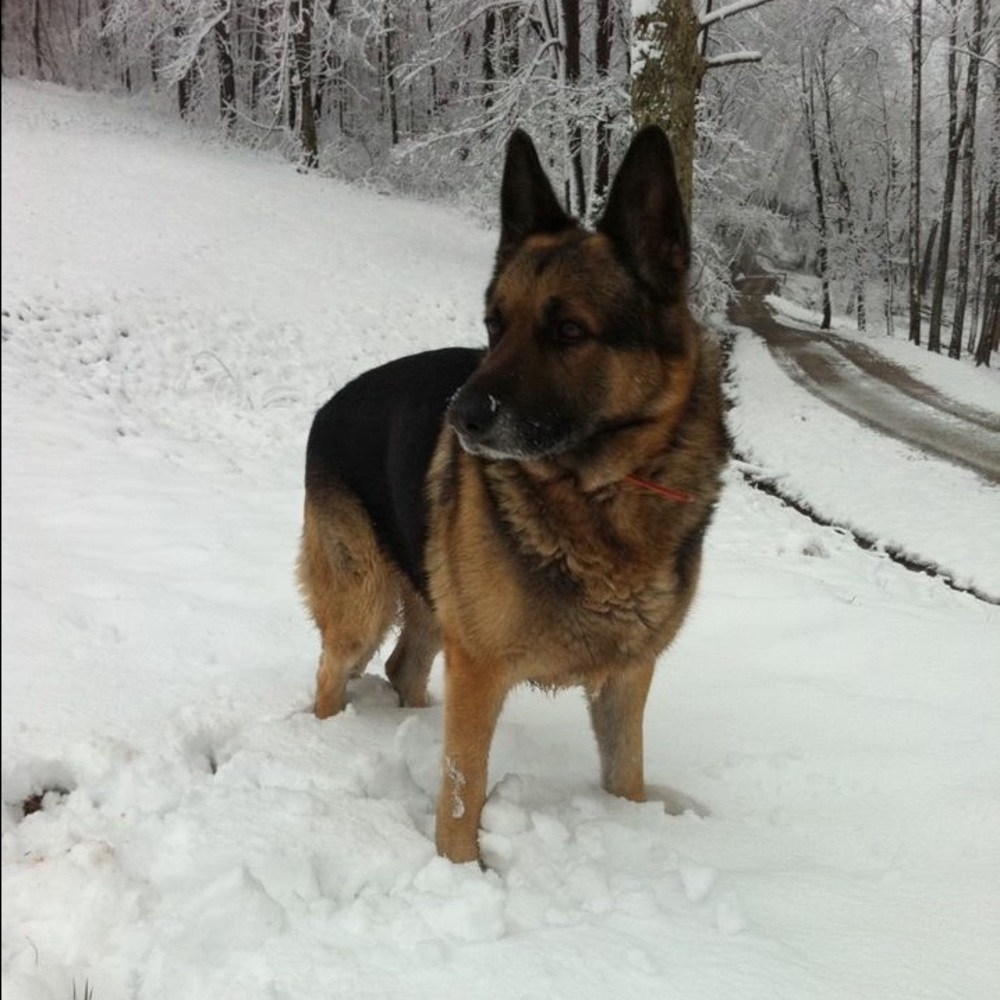 Meet your Posher, Jesse