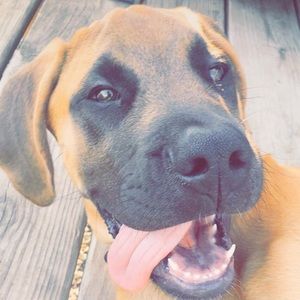 Meet your Posher, Madison