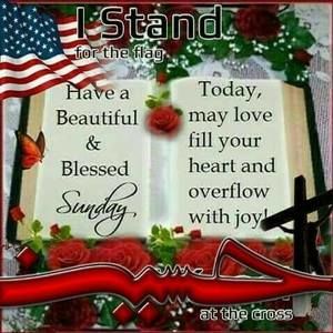 Meet your Posher, Wanda