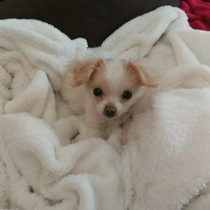 Meet your Posher, Eva