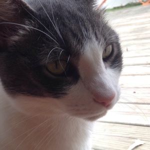 Meet your Posher, Ava