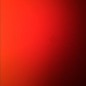 Meet your Posher, Caleb