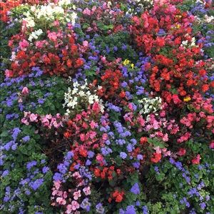 Meet your Posher, Sheri