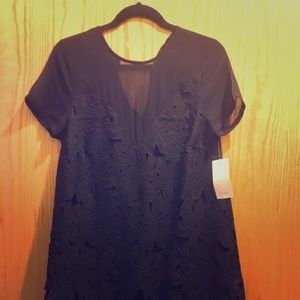 Black Short Sleeve Shift Dress