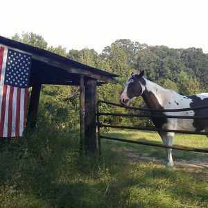 Meet your Posher, Staci